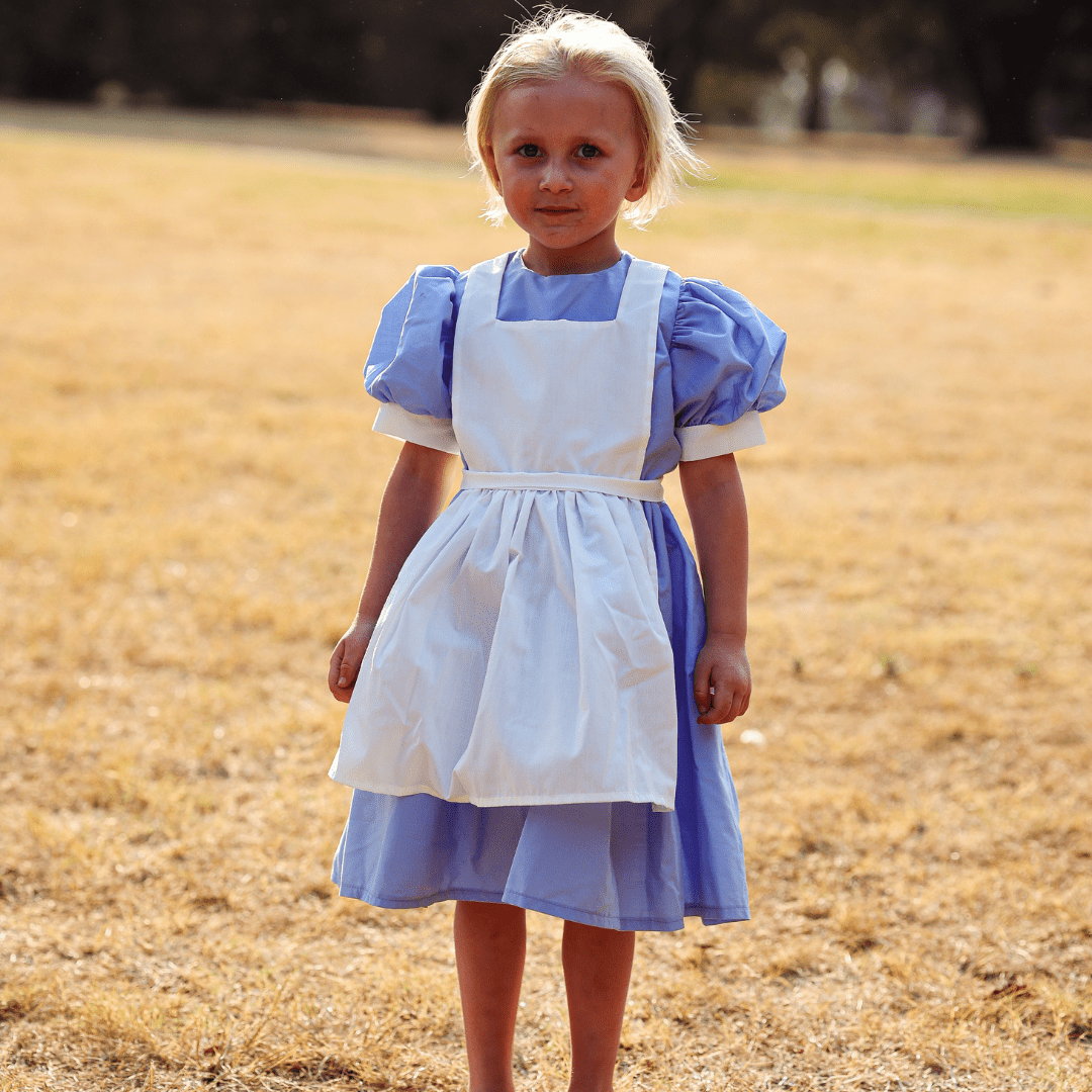 Alice in Wonderland Dress Dress Up Kiddie Majigs 