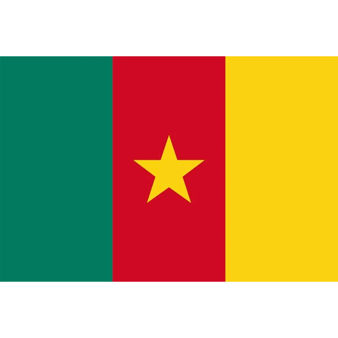 Cameroon Flag 90x150cm Dress Up Not specified 