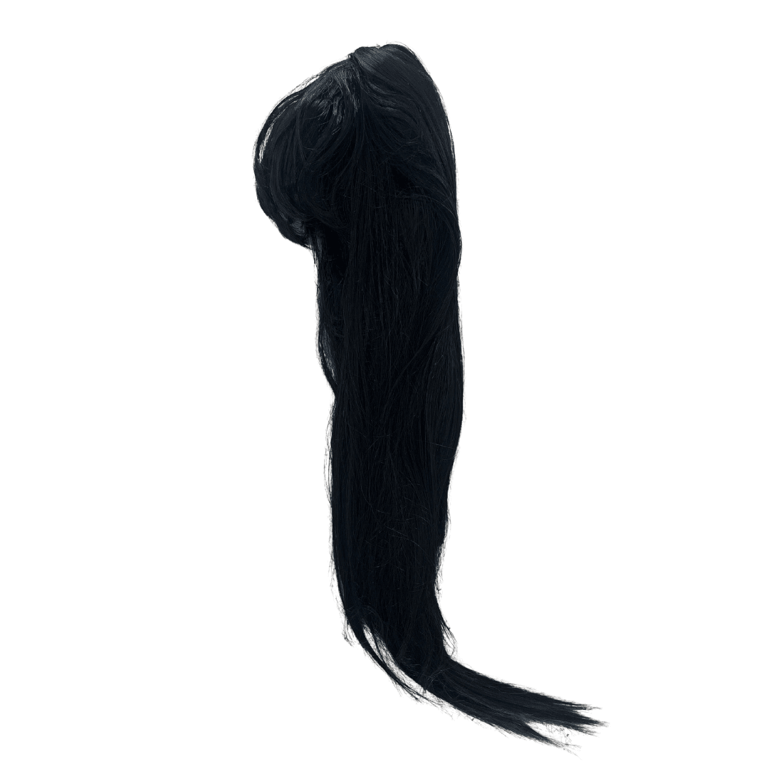 Long Wig - Black Dress Up Not specified 