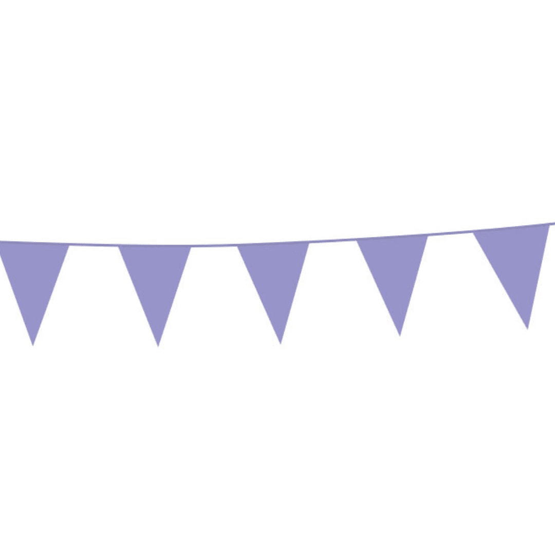 Purple Bunting Parties Not specified 