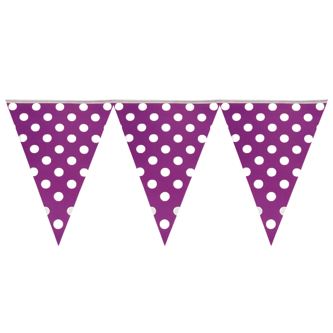 Purple Polka Dot Bunting Parties Not specified 