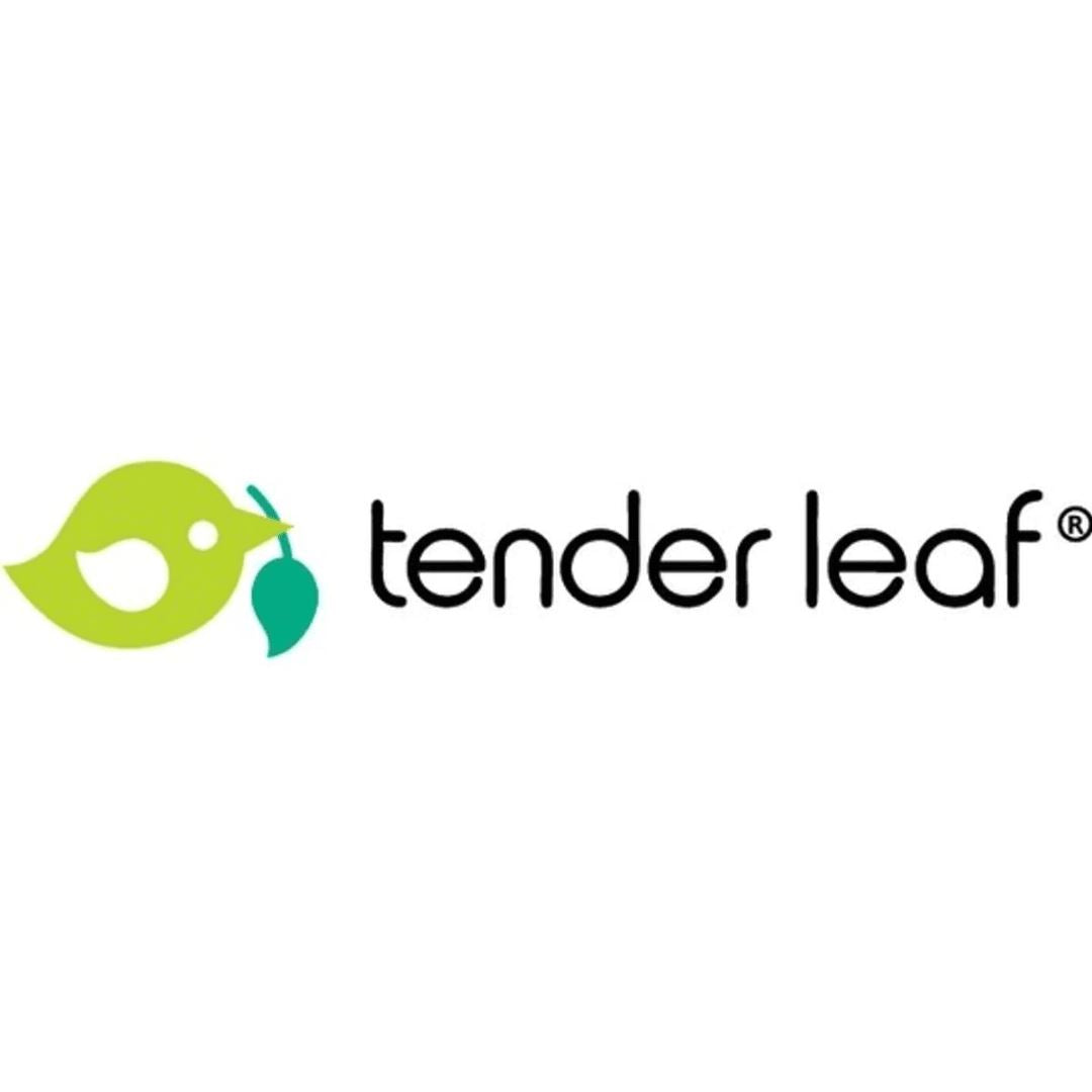 Tender Leaf Toys