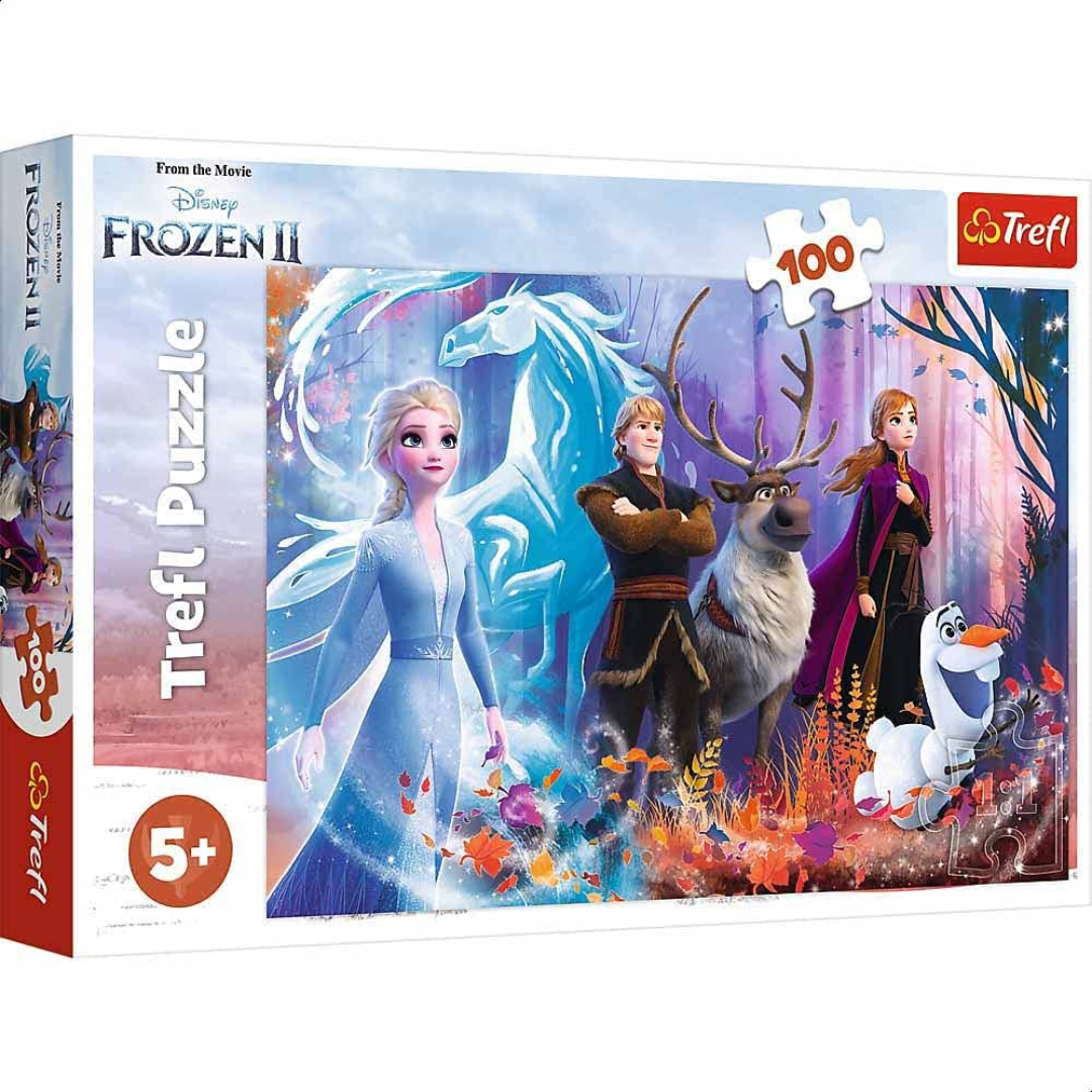 100 PC Puzzle Frozen 2