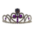 Rhinestone and Gems Purple Tiara