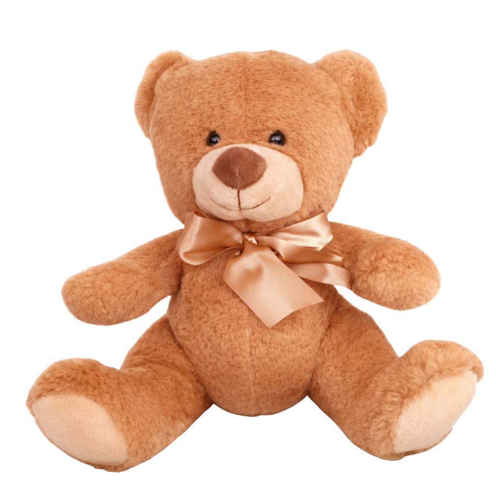 28cm Brown Teddy Bear – Kiddie Majigs
