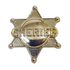 Badge Sheriff Silver