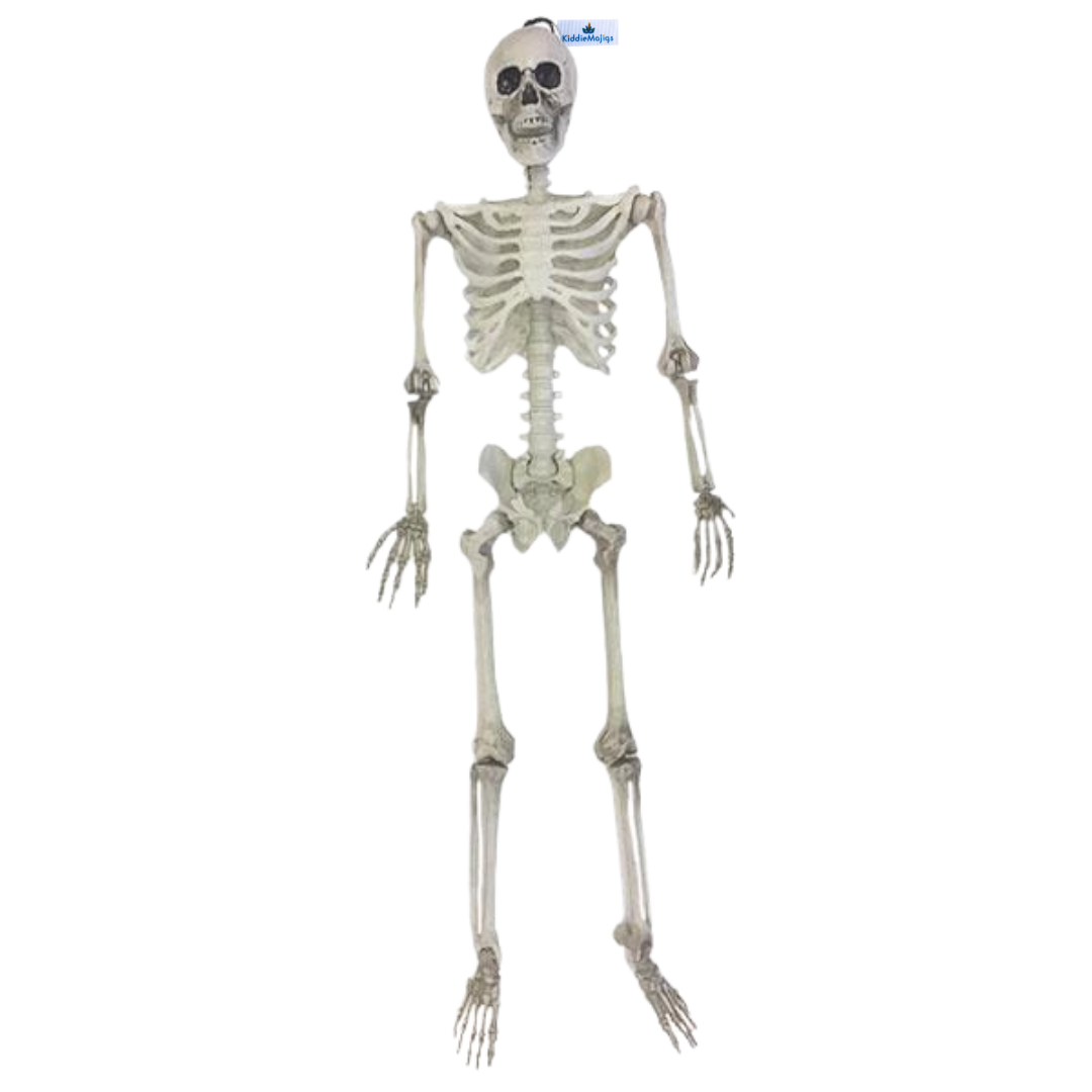 Hanging Skeleton (L) 91cm