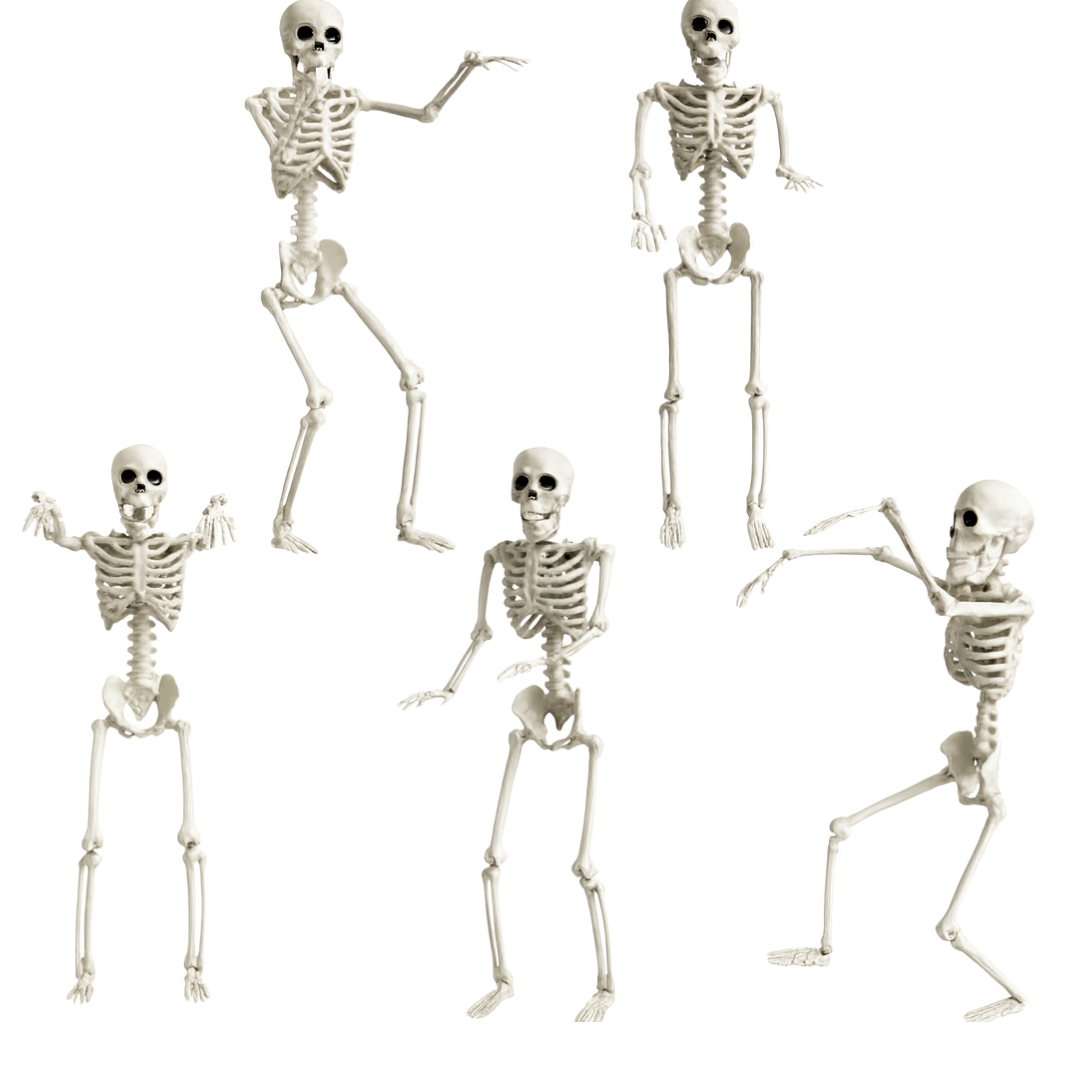 Hanging Skeleton (L) 91cm