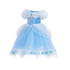 Blue Pumpkin Carriage Princess Dress