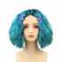 Envy Wig with Clips