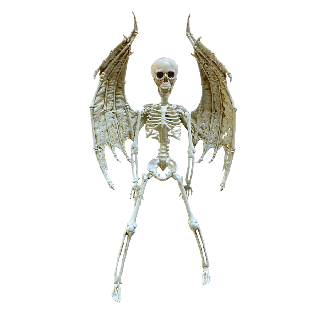 Skeleton with Wings Hanging Decor