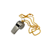 Silver Whistle