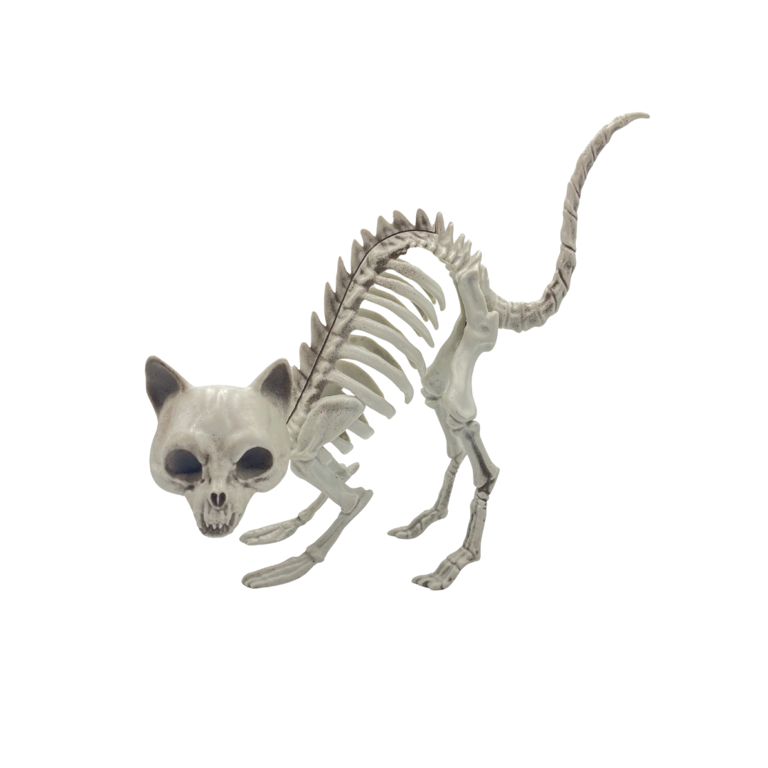 Skeleton Cat