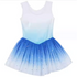 Blue and White Ice Leotard with tutu