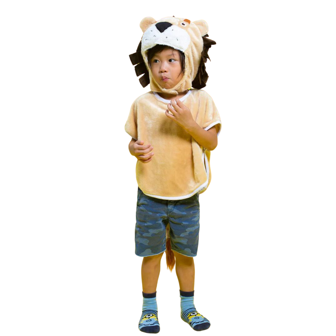 Little Lion Costume: Age 3-6 (120)