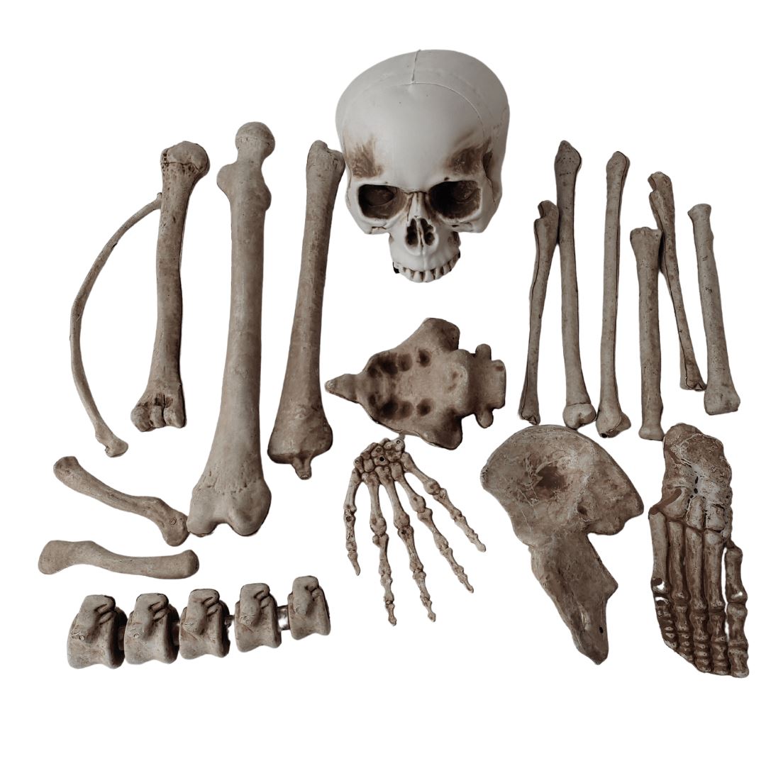 Bag of Large Bones 18Pcs