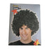 Black & Silver Afro Wig