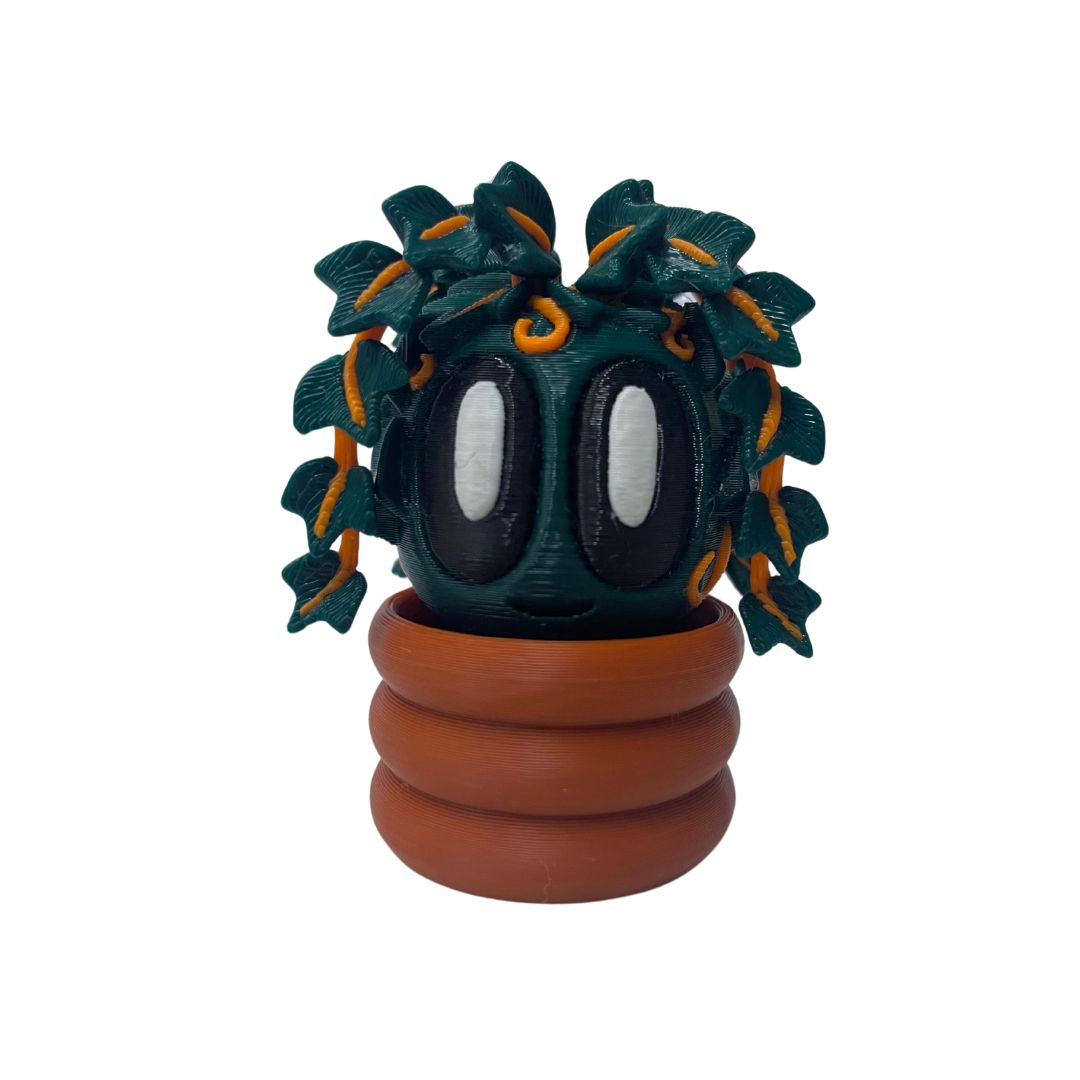 Blob Plant - Ivy
