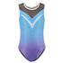 Blue Ombre V Detail Gymnastics Leotard