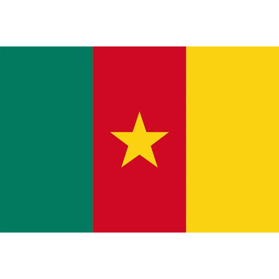 Cameroon Flag 90x150cm