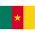 Cameroon Flag 90x150cm