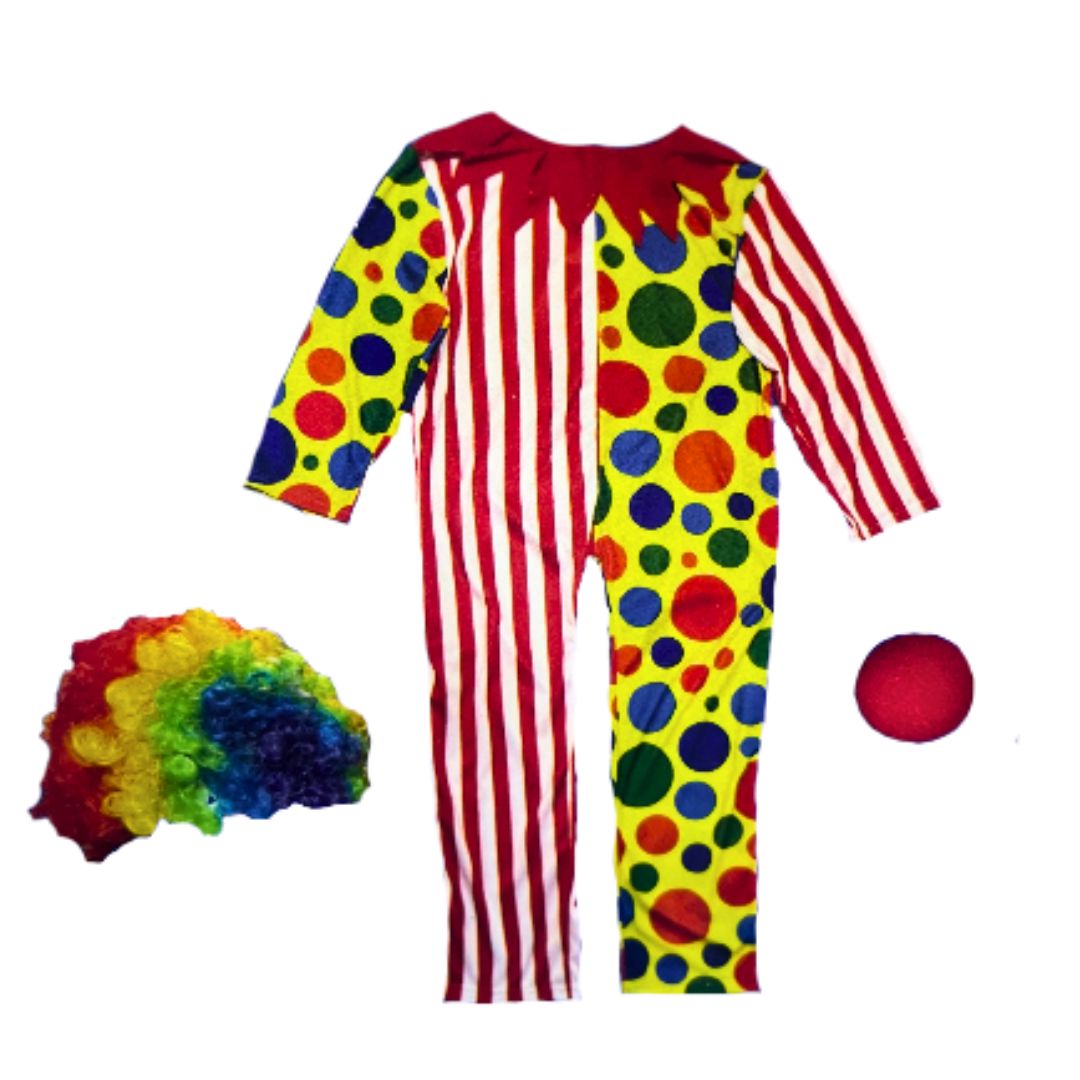 Clown Costume with Wig