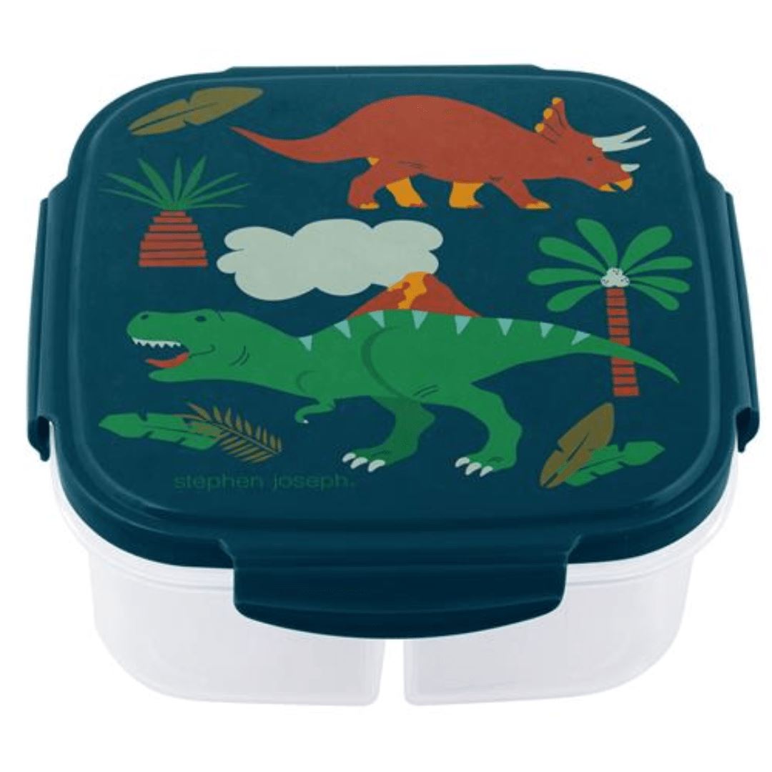 Container With Ice-Pack Dino