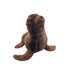 Dark Brown Seal Teddy