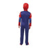 Deluxe Spiderman Outfit