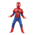 Deluxe Spiderman Outfit