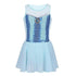 Frozen Blue Ballet Tutu Dress