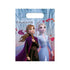 Frozen II Sparkle Party Bags