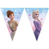 Frozen II Spirit Paper Triangle Flag Banner