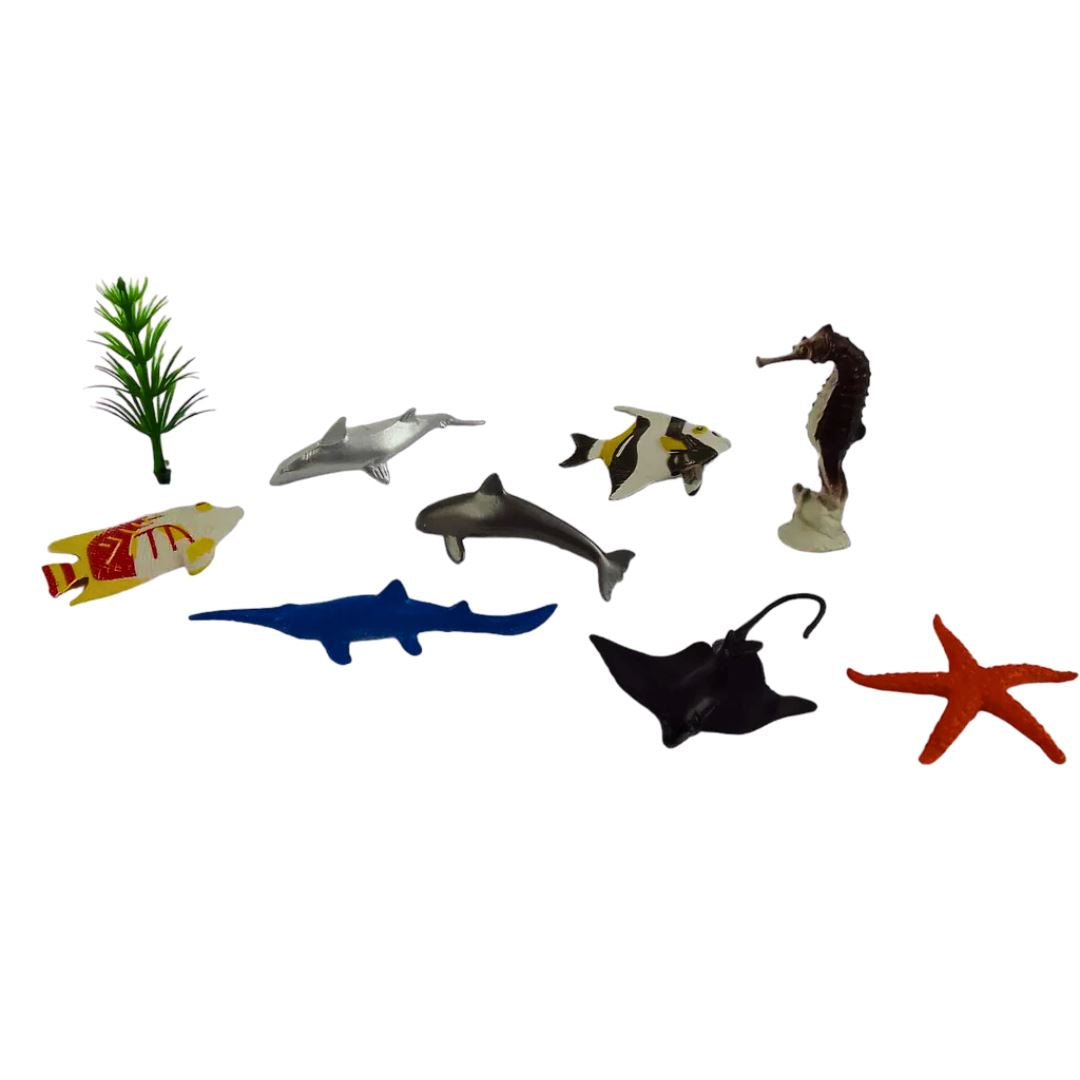 Marine Animals