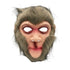 Monkey Mask.