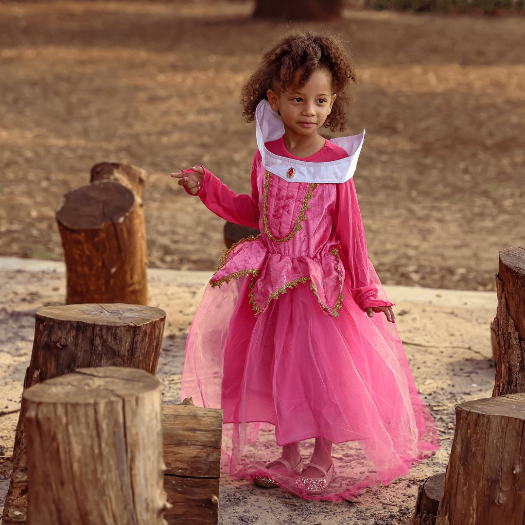 Pink Long Sleeve Princess Dress