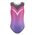 Pink Ombre V Detail Gymnastics Leotard