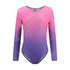 Pink/Purple Ombre Long Rhinestone Leotard