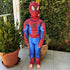 Spider Superhero Kids Costume