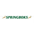 Springboks Letter Banner 2m