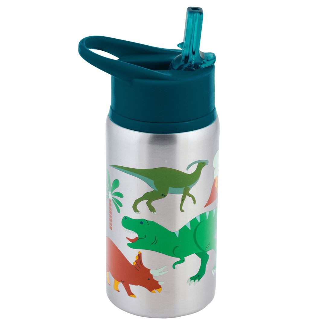 Stainless Steel Water Bottles Dino