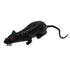 Toy - Rubber Mouse 11cm