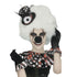 Twisted Circus Accessories
