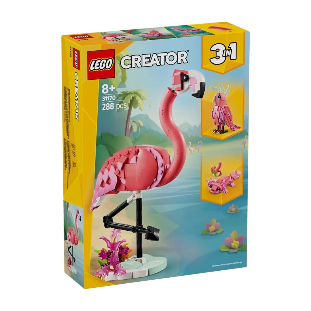Wild Animals: Pink Flamingo
