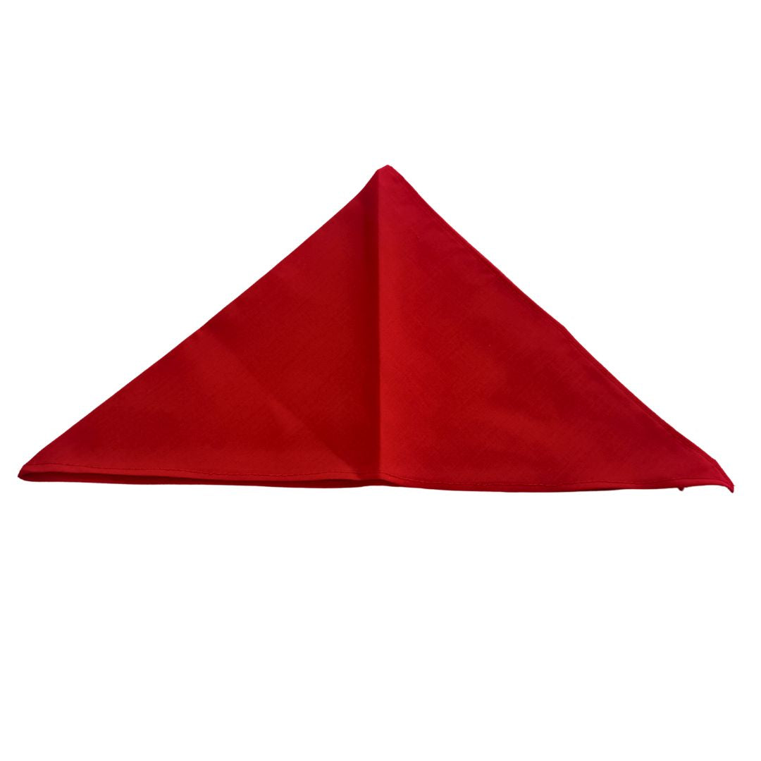 Woody Shirt, Waistcoat & Scarf