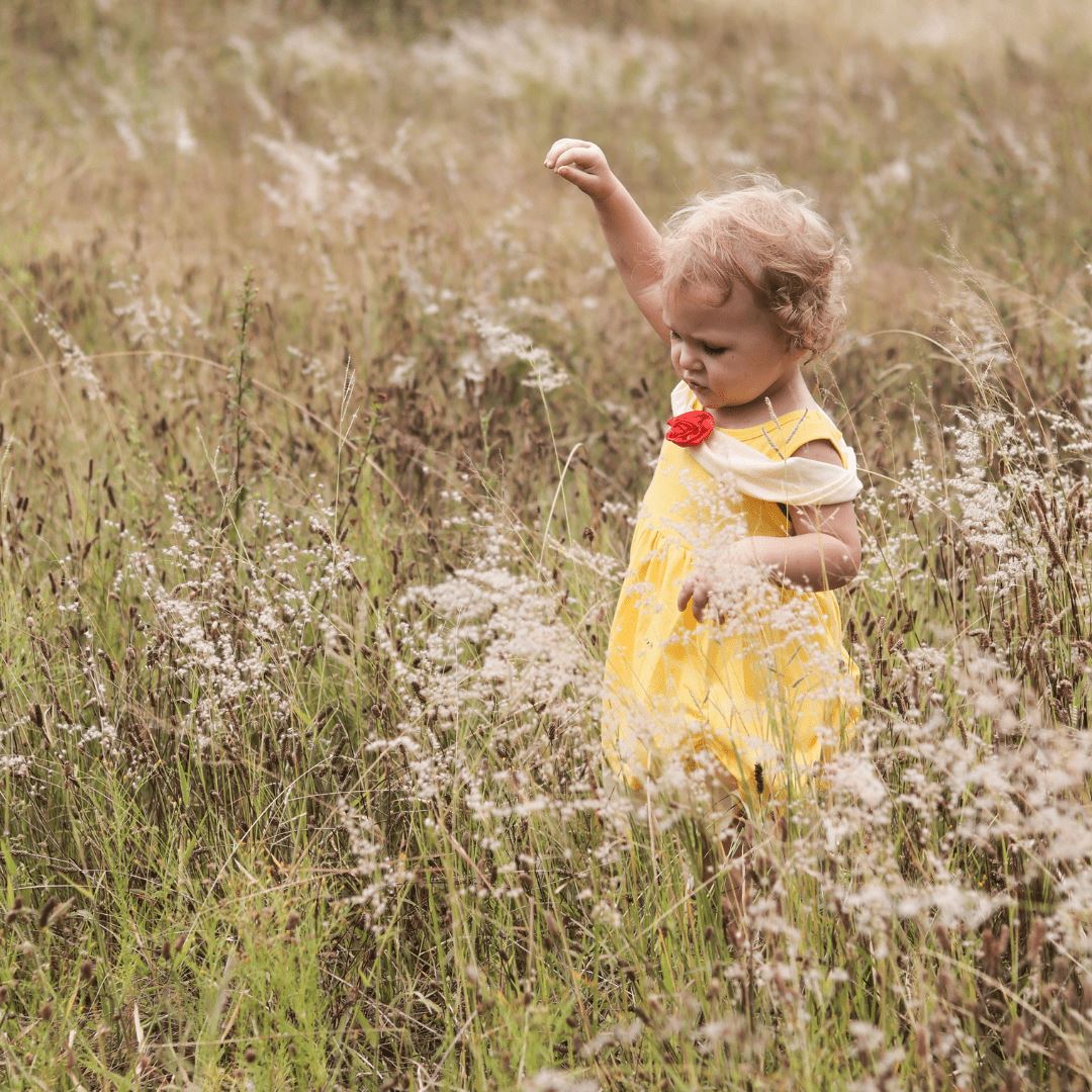 Yellow Princess Dress with Red Rose