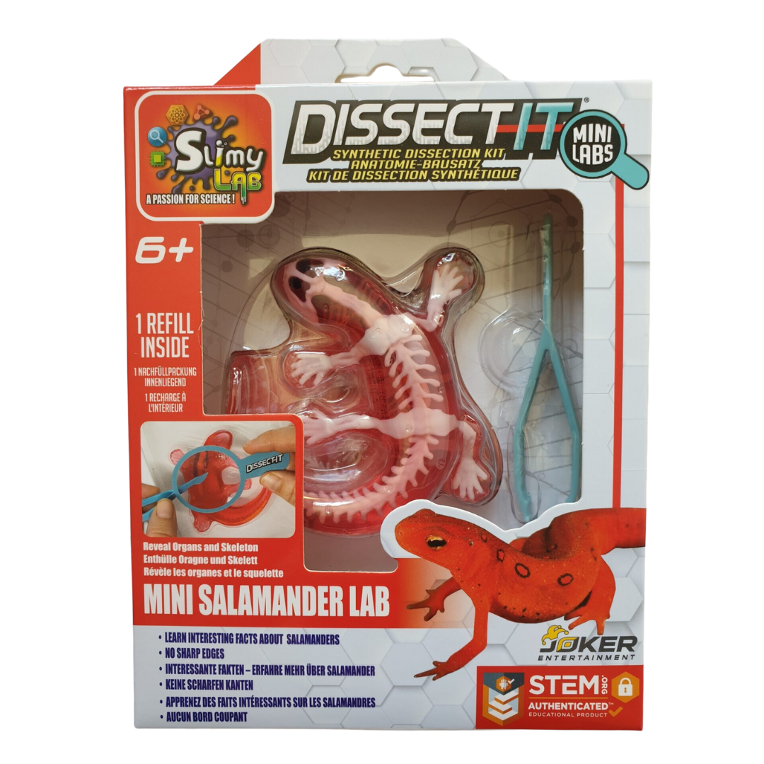 Dissect-It Mini Salamander With Magnifying Glass