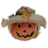 B/O Pumpkin with Hat Light Up Halloween Not specified 