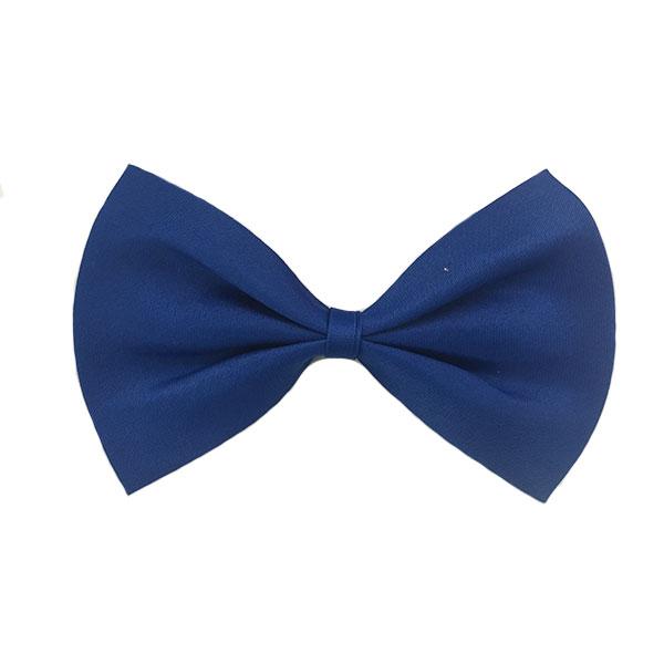 Bowties Small Dress Up Not specified Dark Blue 