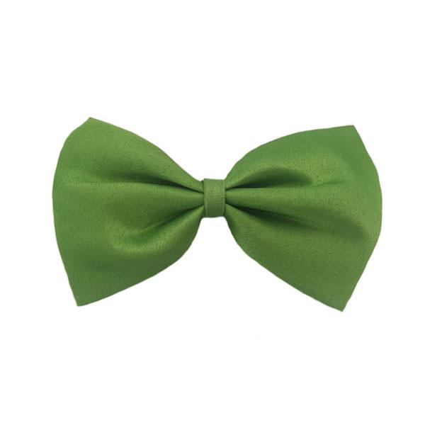 Bowties Small Dress Up Not specified Light Green 